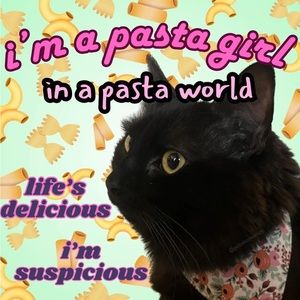 Meet your Posher, Shatila